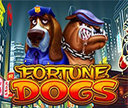 Fortune Dogs