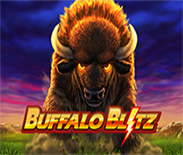 Buffalo Blitz